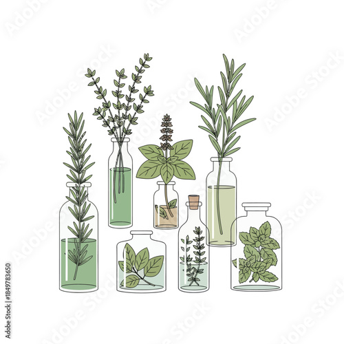 Artistic Arrangement of Various Fresh Herbs and Plants in Glass Jars and Bottles for Home Garden