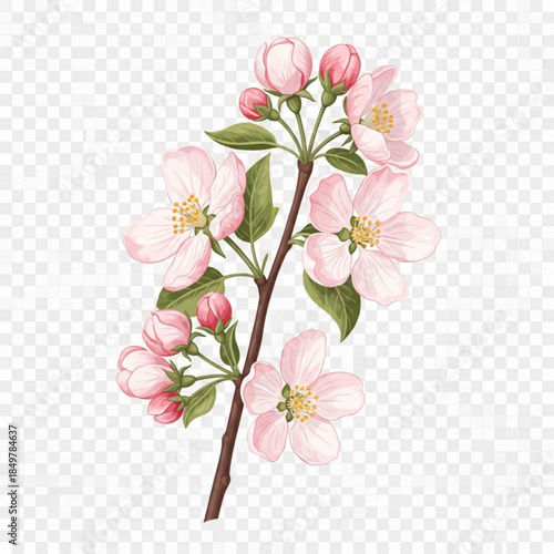 Blooming Apple Blossom Branch: Delicate apple blossoms unfurl in a symphony of soft pink, accented by verdant leaves and tender buds, heralding the sweet promise of spring.