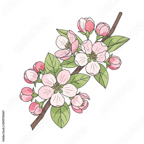 Blossoming Apple Branch: A delicate apple branch in full bloom, showcasing tender petals, lush leaves, and emerging buds, a symbol of spring's arrival and the promise of new life.