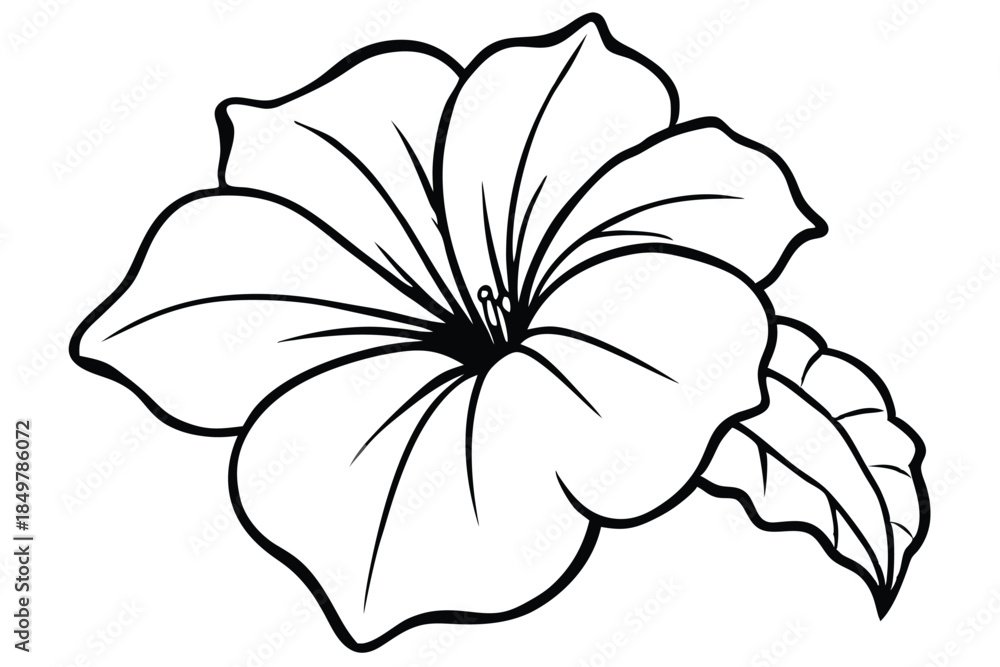 Fototapeta premium petunia silhouette line art vector illustration