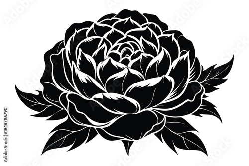 peony silhouette line art vector illustration