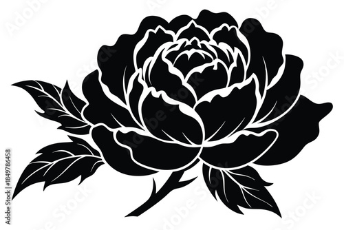 peony silhouette line art vector illustration