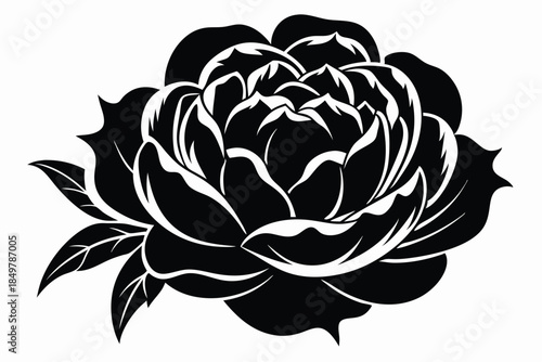 peony silhouette line art vector illustration