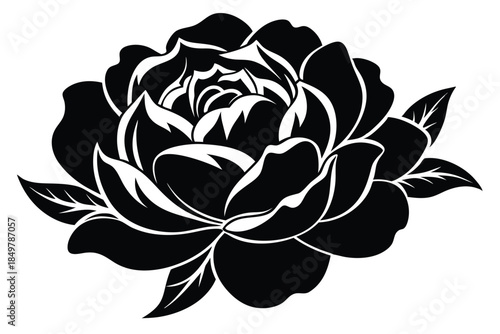 peony silhouette line art vector illustration