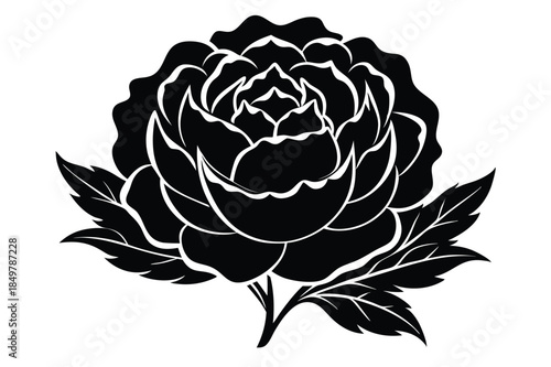 peony silhouette line art vector illustration