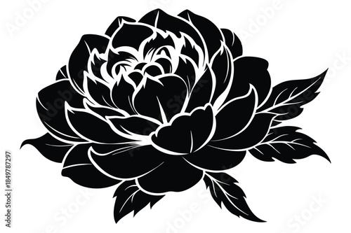 peony silhouette line art vector illustration