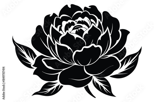 peony silhouette line art vector illustration