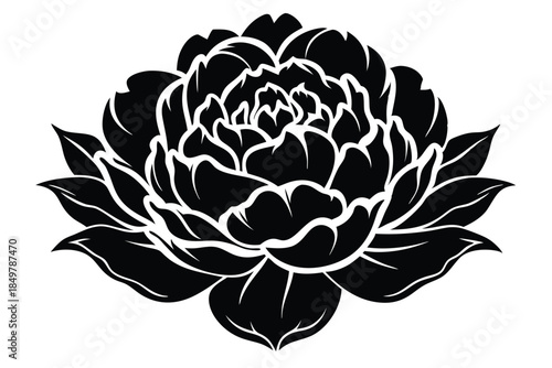 peony silhouette line art vector illustration