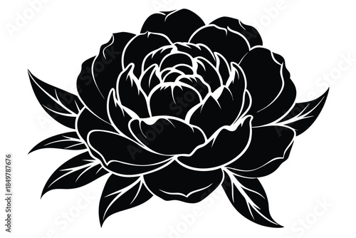 peony silhouette line art vector illustration