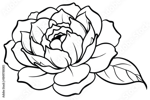 peony silhouette line art vector illustration
