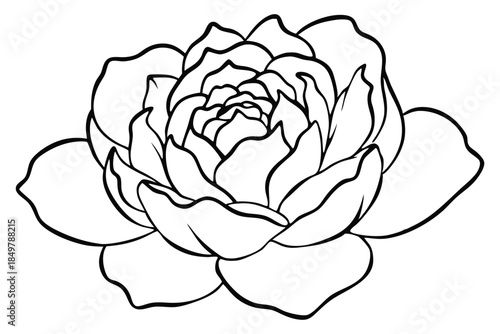 peony silhouette line art vector illustration