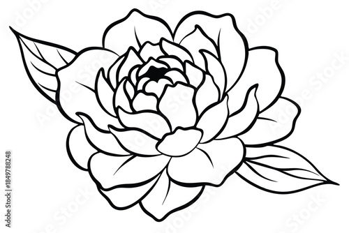 peony silhouette line art vector illustration