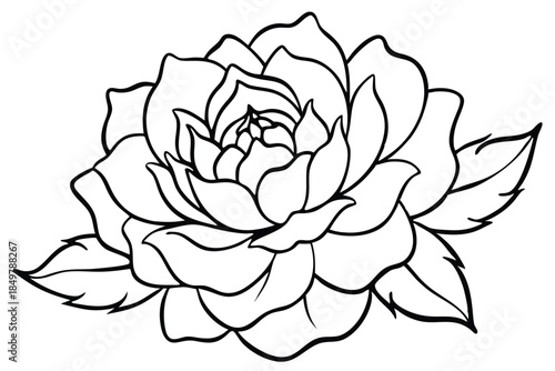peony silhouette line art vector illustration