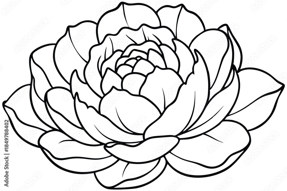 Obraz premium peony silhouette line art vector illustration