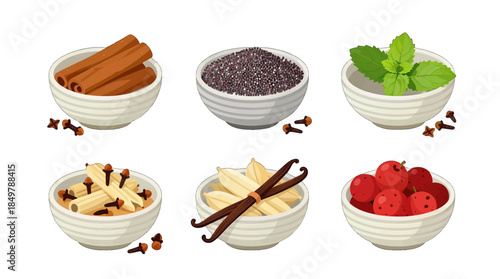 Colorful Flat Design Spice Illustration Set