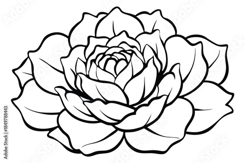 peony silhouette line art vector illustration