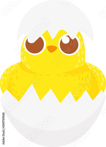Cute baby chick hatching from a white egg