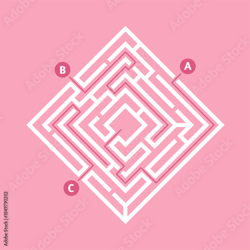 Finding the solution path in a complex maze task