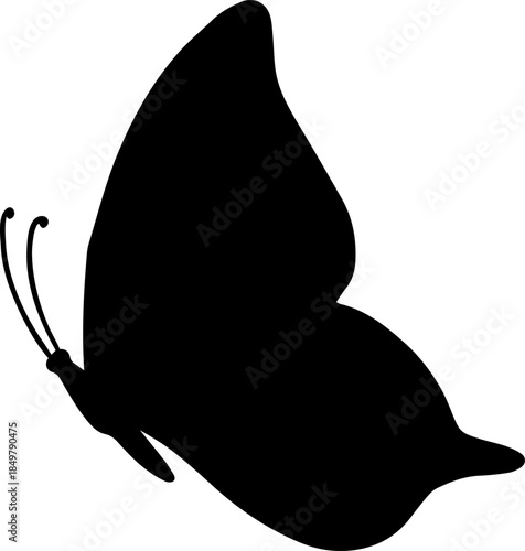 Butterfly silhouette with black wings and antennae