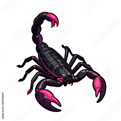 Illustration of a Black and Pink Scorpion