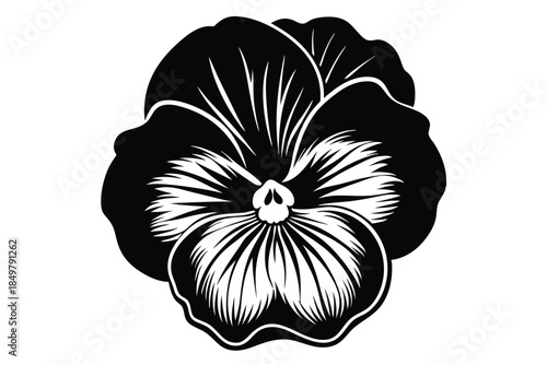 pansy silhouette line art vector illustration