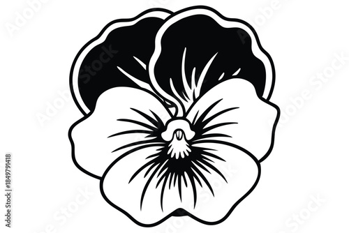 pansy silhouette line art vector illustration