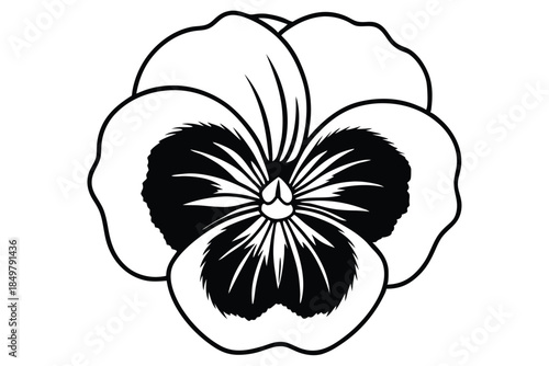pansy silhouette line art vector illustration