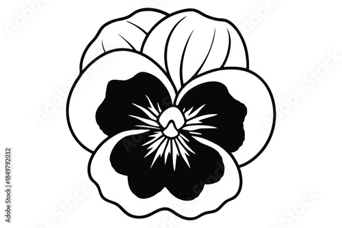 pansy silhouette line art vector illustration