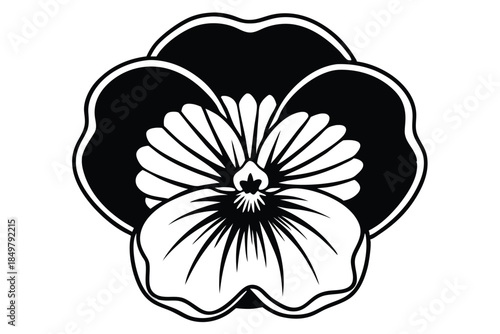 pansy silhouette line art vector illustration