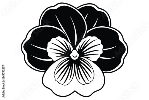 pansy silhouette line art vector illustration