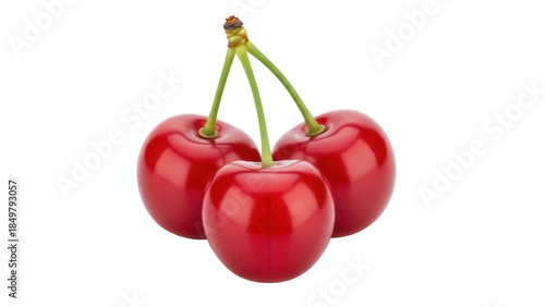 Isolated sweet ripe red cherries fruit, raw organic summer dessert snack with stems together