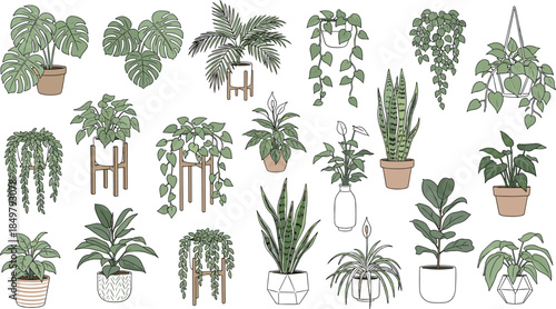 Indoor houseplant illustration collection featuring diverse potted plants, hanging greenery, modern botanical decor elements, and stylish home interior foliage designs