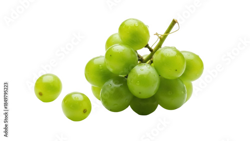 Isolated cluster of green grapes ready to eat for a healthy snack or delicious dessert