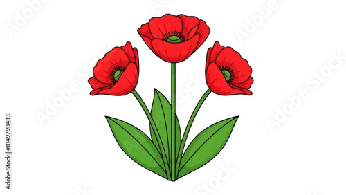 Isolated flowering plant with three vibrant red blossoms and leafy green stems, vector illustration