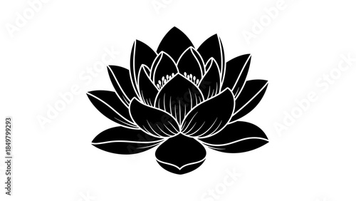 Black and White Lotus Flower Illustration 1.
