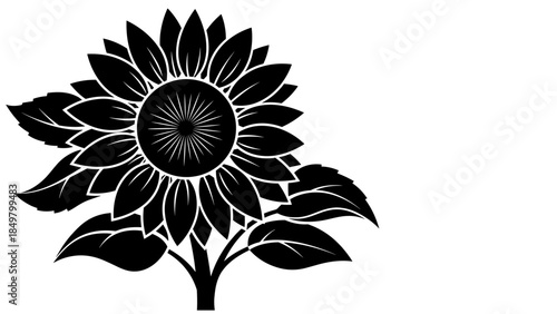 Black and White Sunflower Silhouette Illustration.