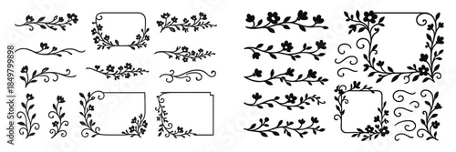Elegant floral vector illustrations for decoration and design projects