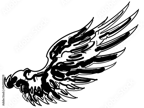 eagle with wings