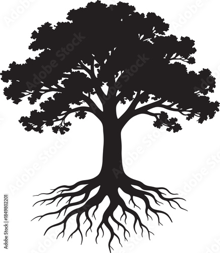tree silhouette isolated on white