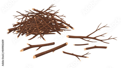 A chaotic heap of brittle, brown kindling is gathered on the left, while disparate, jagged twigs lie scattered in the foreground, creating a rustic scene of collected firewood on a white backdrop