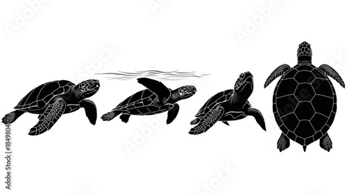 Black Turtle Silhouette Vector Set Showing Walking Swimming Shell Top View