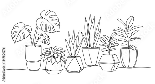 One line drawing of houseplants in pots. Minimalist indoor plant illustration for home decor themes.