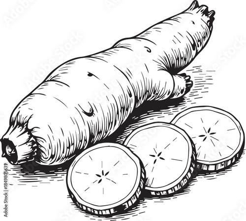 An artistic illustration showcases the beauty and intricacy of cassava, a staple food root, featuring a detailed depiction of the whole root alongside sliced sections, ideal for culinary, educational.