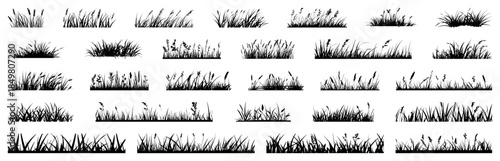 Silhouette grass with spikelet collection. Set of hand drawn beach grass line cad. Illustration for elevation architectural element, side view, grass section. Turf coating banners for edging