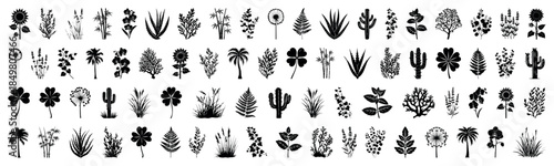 Set of silhouette plants, flowers, herbs, shrub, weed, greenery flora line drawing set in side view. Graphics trees elements outline symbol for architecture and landscape design drawing stroke fill