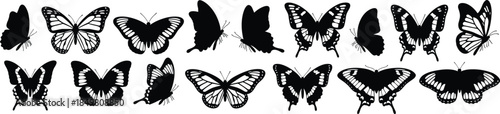 Collection of diverse butterfly silhouettes in black, showcasing wing variations, species diversity, artistic design, and nature-inspired vector elements
