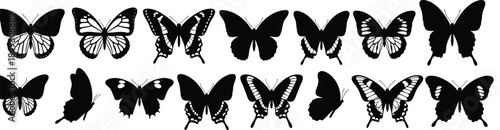 Silhouette collection of butterflies in diverse wing shapes and patterns for nature design, decoration, entomology, and educational use