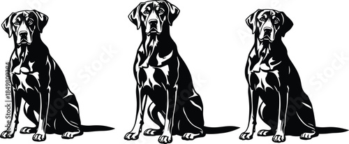 Stylized black and white silhouettes of three identical sitting dogs, showcasing symmetry, calm posture, and artistic pet illustration design