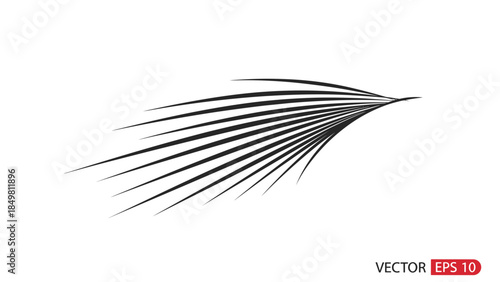 Black feather with long thin quill.