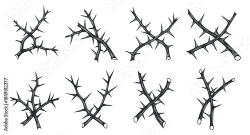 A set of eight thorny branches in black outline minimalist vector style, ideal for nature-themed designs and illustrations